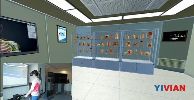 VRCore系列：最佳应用作品《人卫3D系统解剖学》