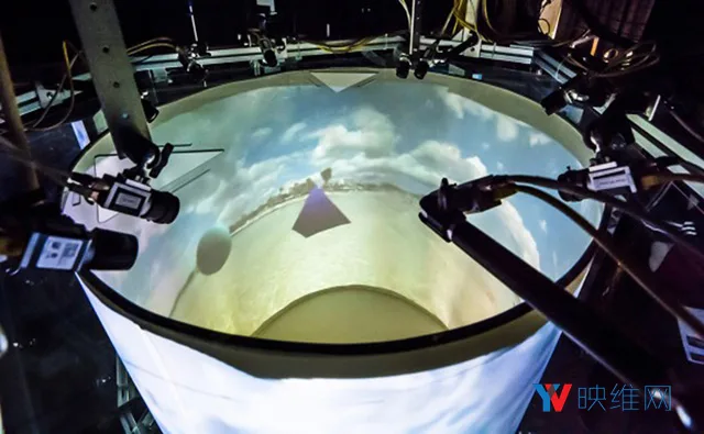 VR为科研人员提供前所未有的动物行为研究方式