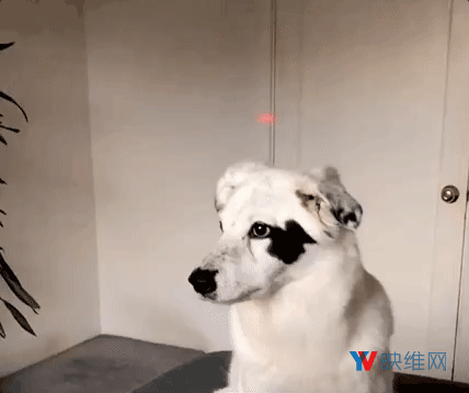 Facebook AR平台World Effects向所有开发者开放