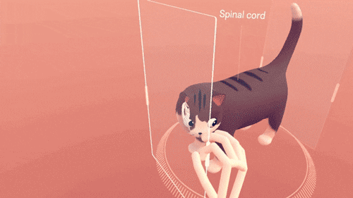 Leap Motion分享《Cat Explorer》空间交互设计细节