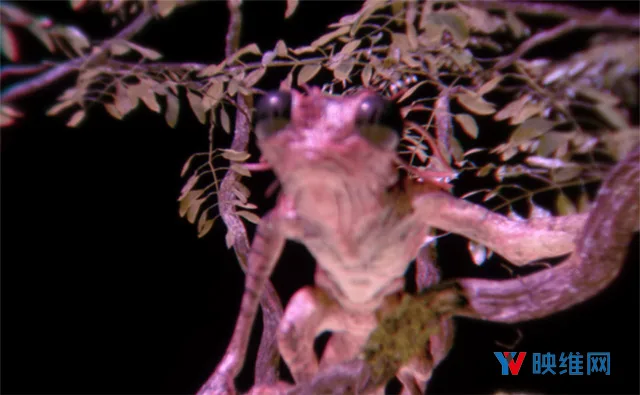 今年可适配VR头显，欧洲核子研究组织工程师带来真正光场显示器