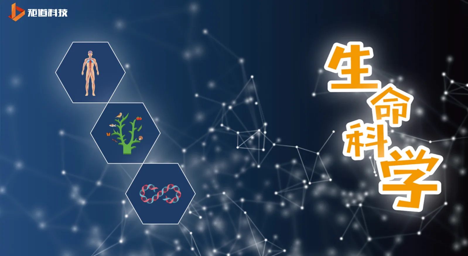 矩道科技《生命科学》荣膺 Qualcomm & Pico XR创新应用大赛金奖