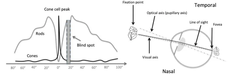 微软HoloLens光学架构师详述AR/VR/MR数字光学元件和技术
