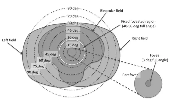 微软HoloLens光学架构师详述AR/VR/MR数字光学元件和技术