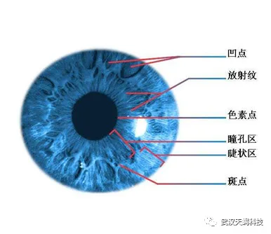 20191115080259