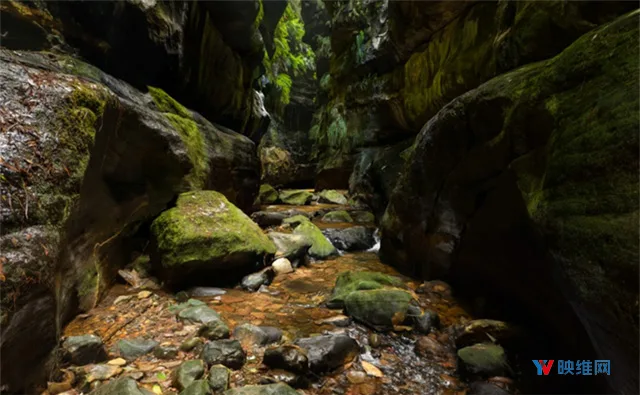 Oculus Rift 每周新内容
