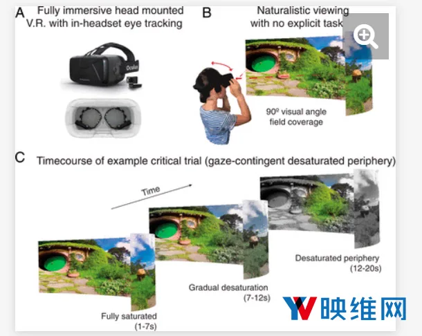 研究员用VR探索人眼对色彩的感知，外围视场几乎被人眼忽略