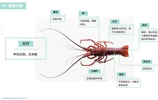 蓝鳍鱼《飞鱼科学》荣获Qualcomm XR创新应用挑战赛金奖
