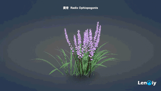 蓝鳍鱼《飞鱼科学》荣获Qualcomm XR创新应用挑战赛金奖