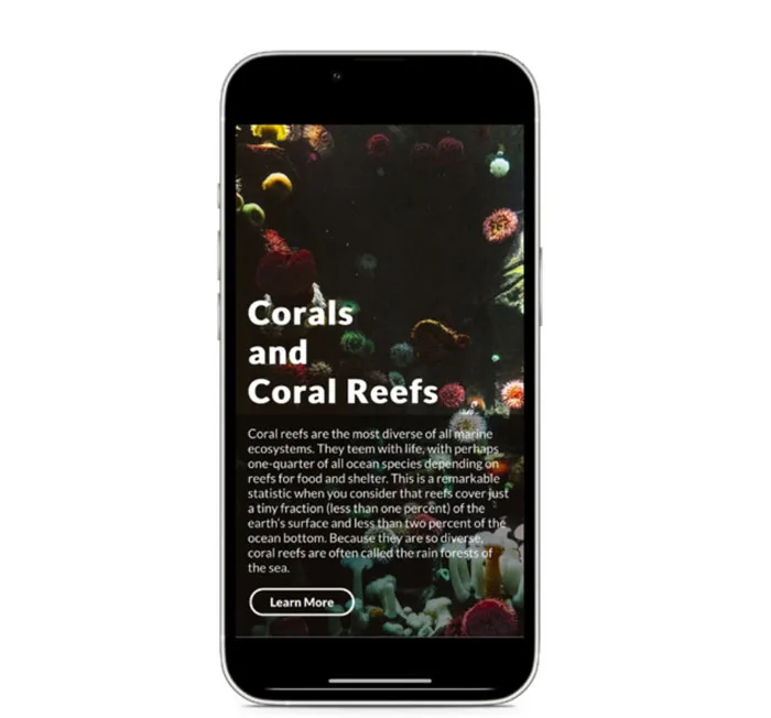 研发实战：用Microsoft Power Apps创建混合现实项目