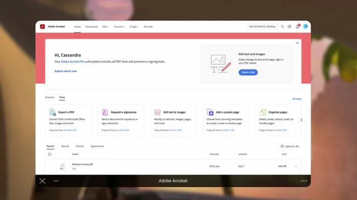 Meta Store 每周新内容