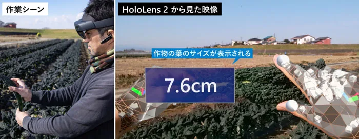日本Root用HoloLens 2对农业进行数字化改革，大大提升农业生产效率