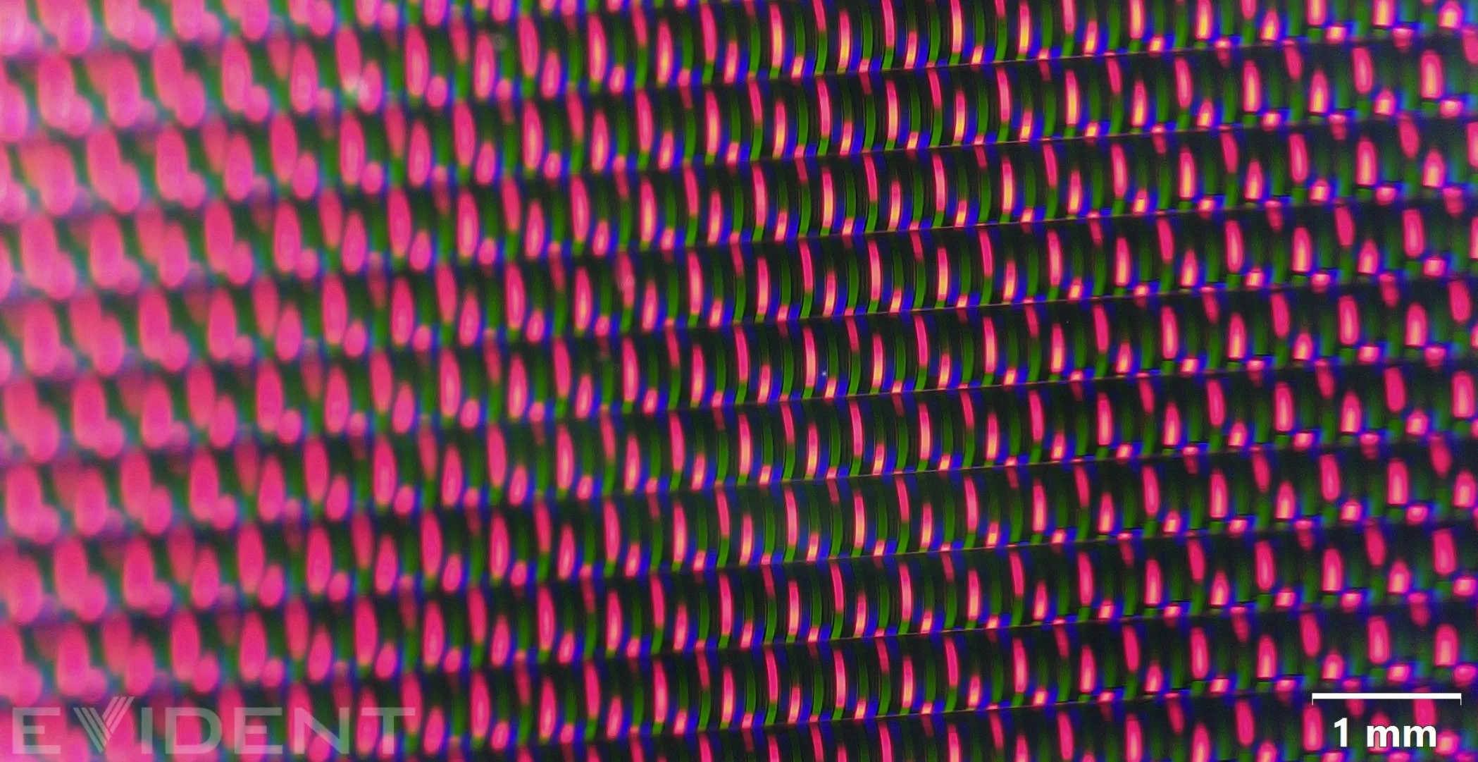 iFixit分享Vision Pro拆机：详细展示内部复杂构造设计