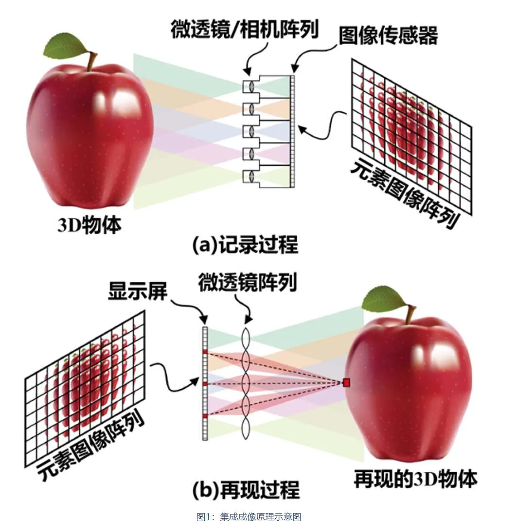 中山大学团队研发基于超透镜阵列的集成成像近眼3D显示模组