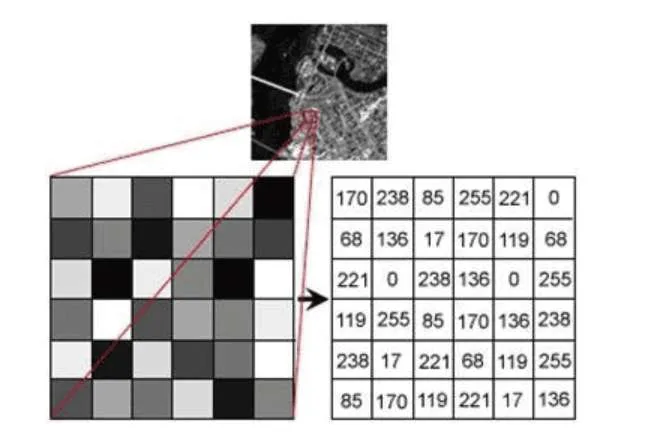 OpenCV分享：2024年关键技能之 AI 初学指南