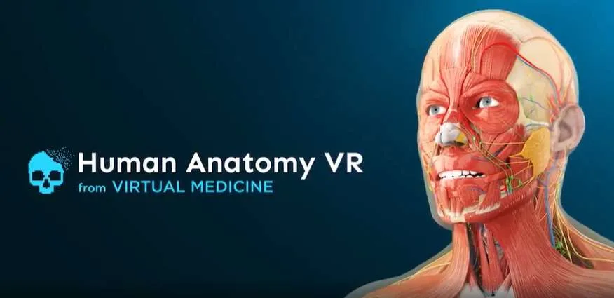 《Human Anatomy VR》通过PICO头显助力解剖学教育，学生成绩提升超45％