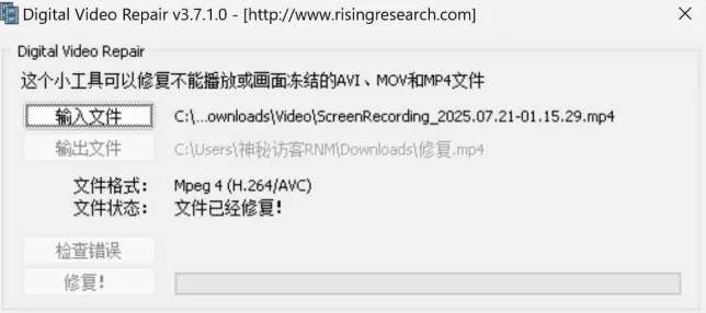 PICO用户分享视频修复工具Digital Video Repair使用指南