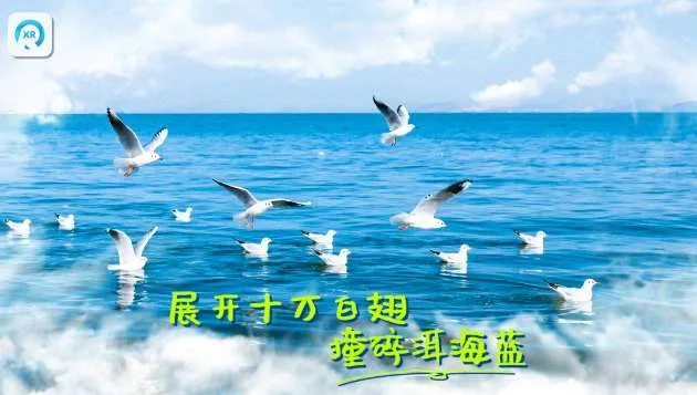 PICO视频本周推出三款VR影视内容