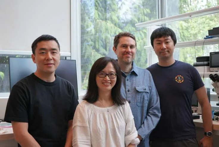 Meta Reality Labs发布Tiramisu与Boba3原型：突破VR显示技术边界