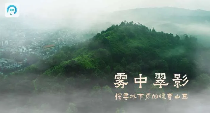 PICO视频8月上新:穿越机视角城市绿浪与数字雨林沉浸体验