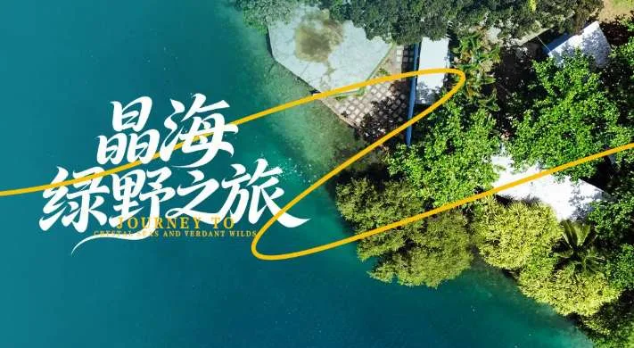 PICO视频上新：一米之内/蓝白格纹少女/晶海绿野之旅