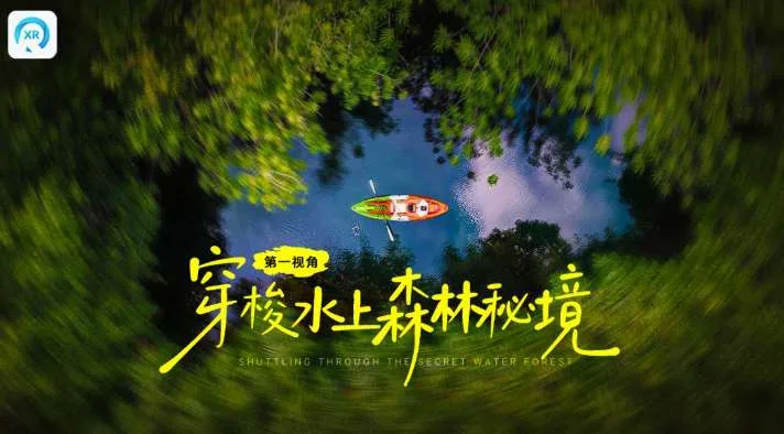 PICO视频上新：水晶法阵/少女私密时刻/森林秘境