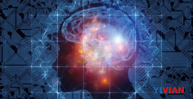 重大科研突破！神经科学家发现人脑高达11个维度