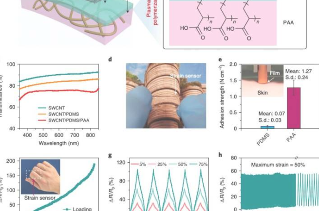 af48da0805c578a54ae39223cb813a86-thumb-standard