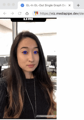 提升AR效果，谷歌发布精确虹膜估计全新机器学习模型MediaPipe Iris