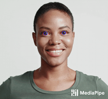 提升AR效果，谷歌发布精确虹膜估计全新机器学习模型MediaPipe Iris