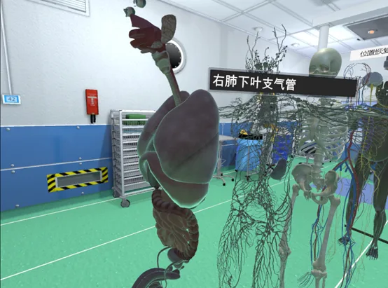虚拟时间《VR人体解剖实验室》荣获2021高通XR挑战赛趣立创新奖金奖